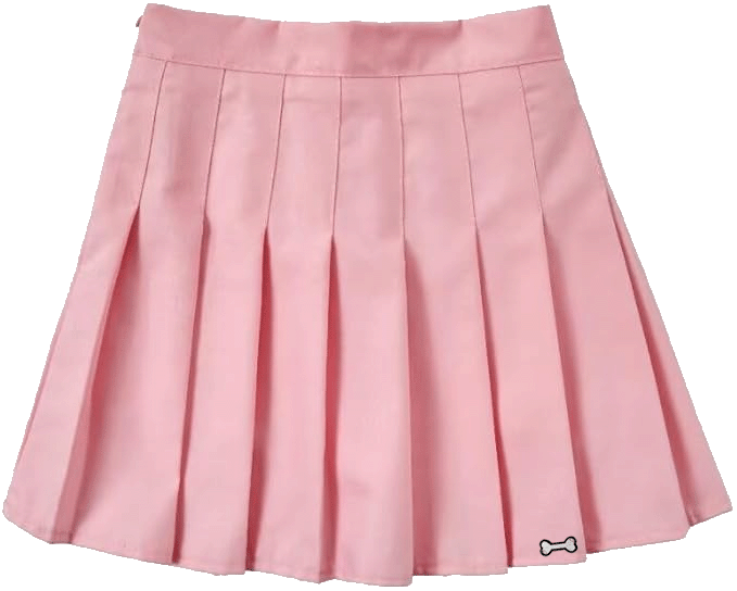 Flip Your Script Pleated Women's Skirt | Buy Pleated Skirts